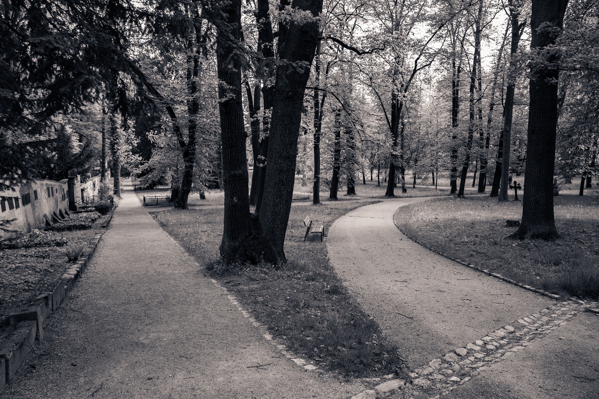 path 1802784 1920